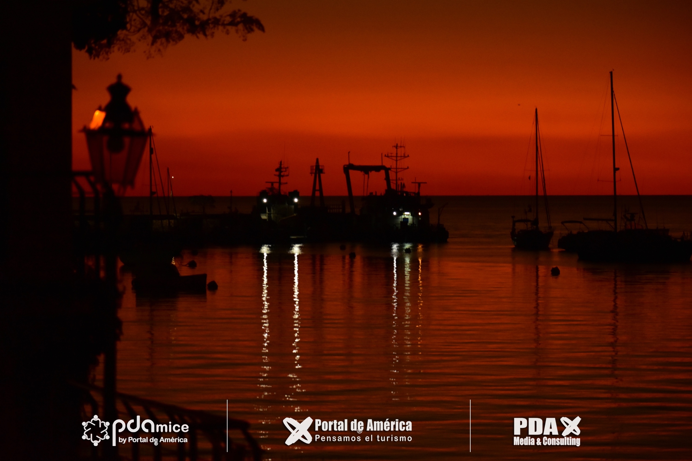 D35_5203_59b7a.jpg