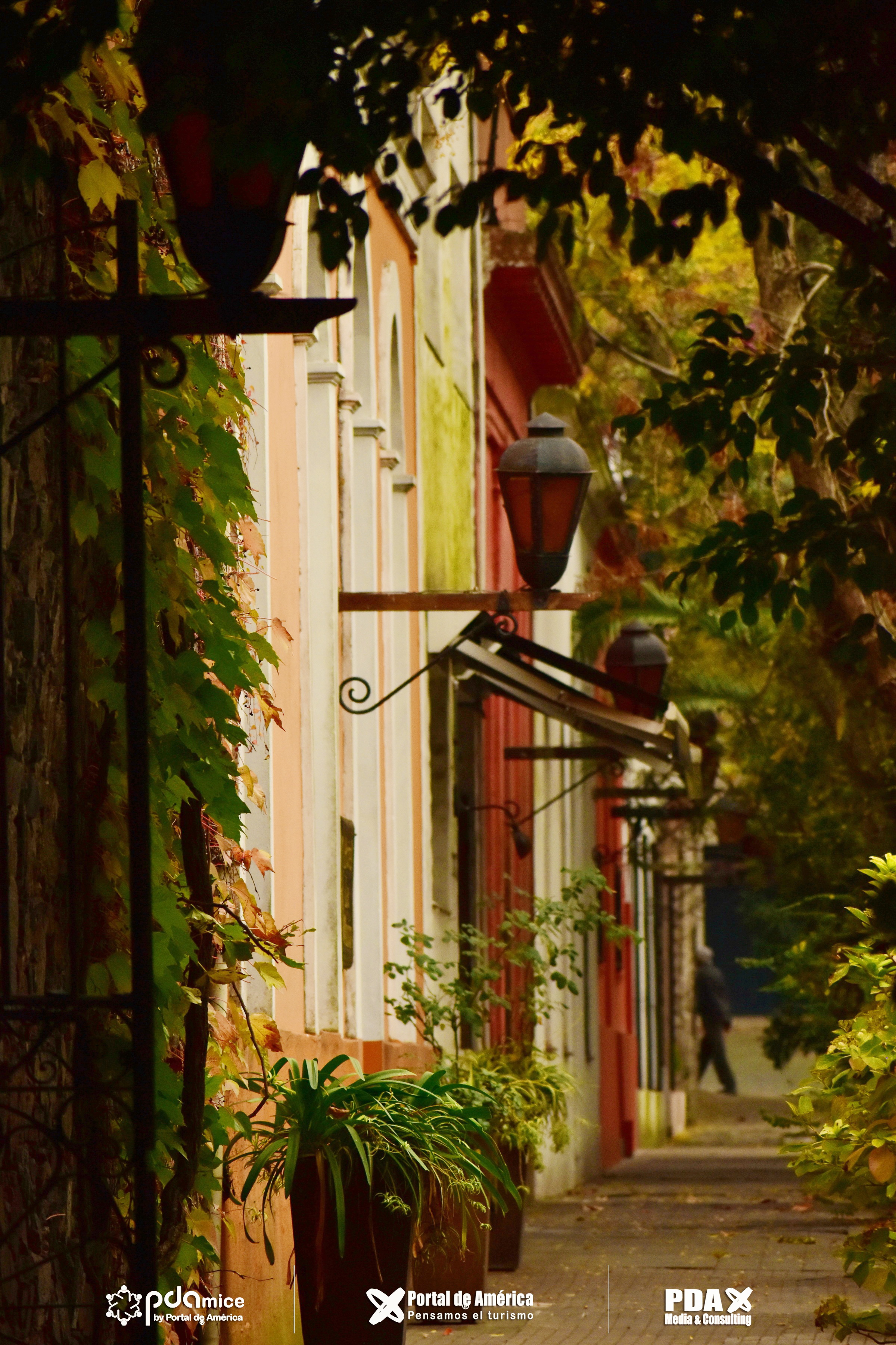 D35_5427_a33c1.jpg