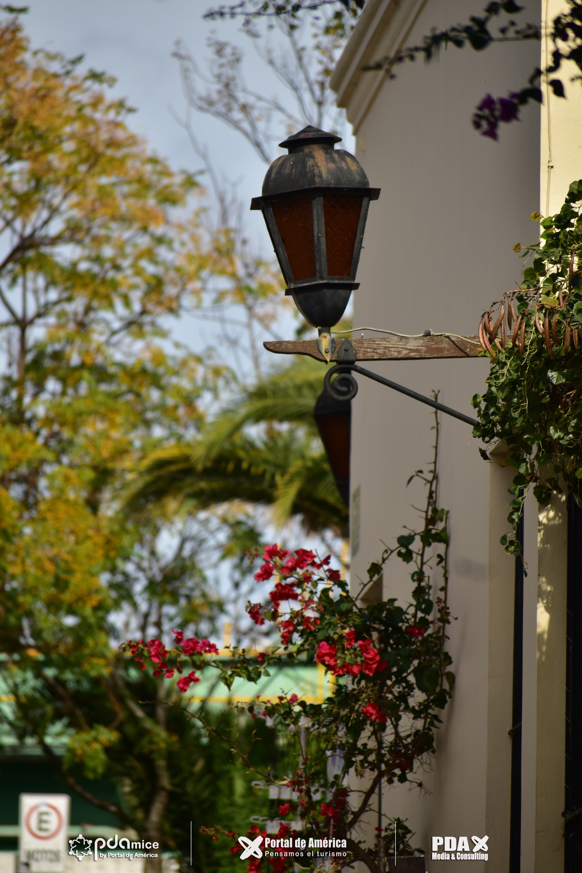 D35_6127_b9a17.JPG