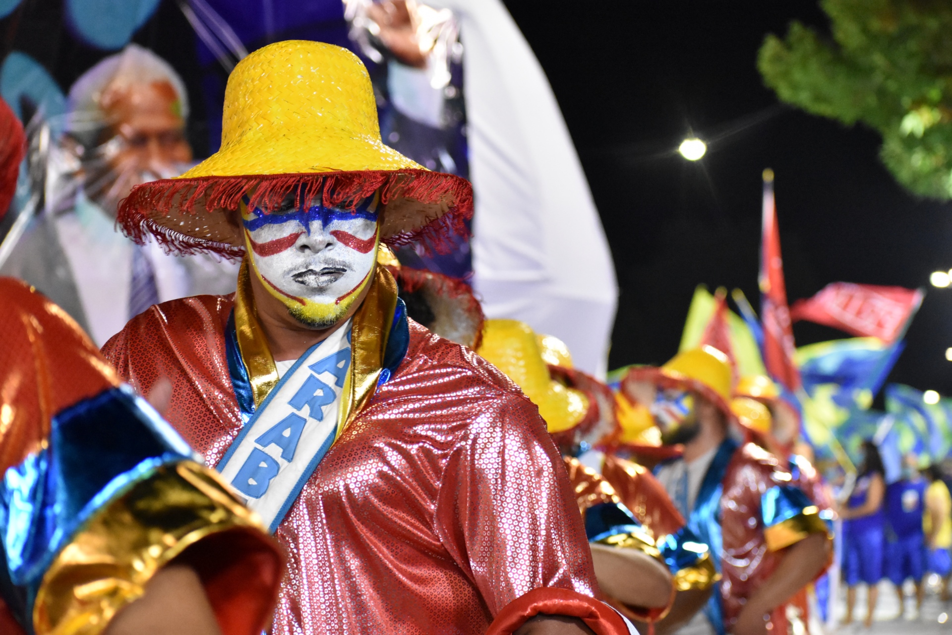 DSC_2313_a3450.jpg