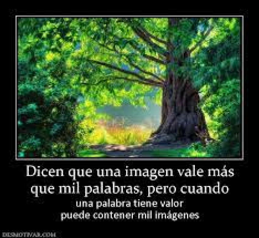 &iquest;Una imagen vale m&aacute;s que mil palabras?