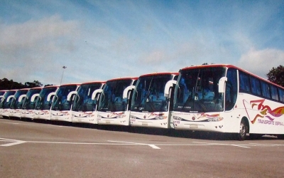 La necesidad de establecer una pol&iacute;tica para el transporte (parte II)