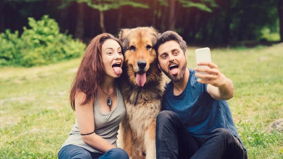 Viajar con mascotas: lo que traer&aacute; la Ley de Bienestar Animal espa&ntilde;ola en 2023