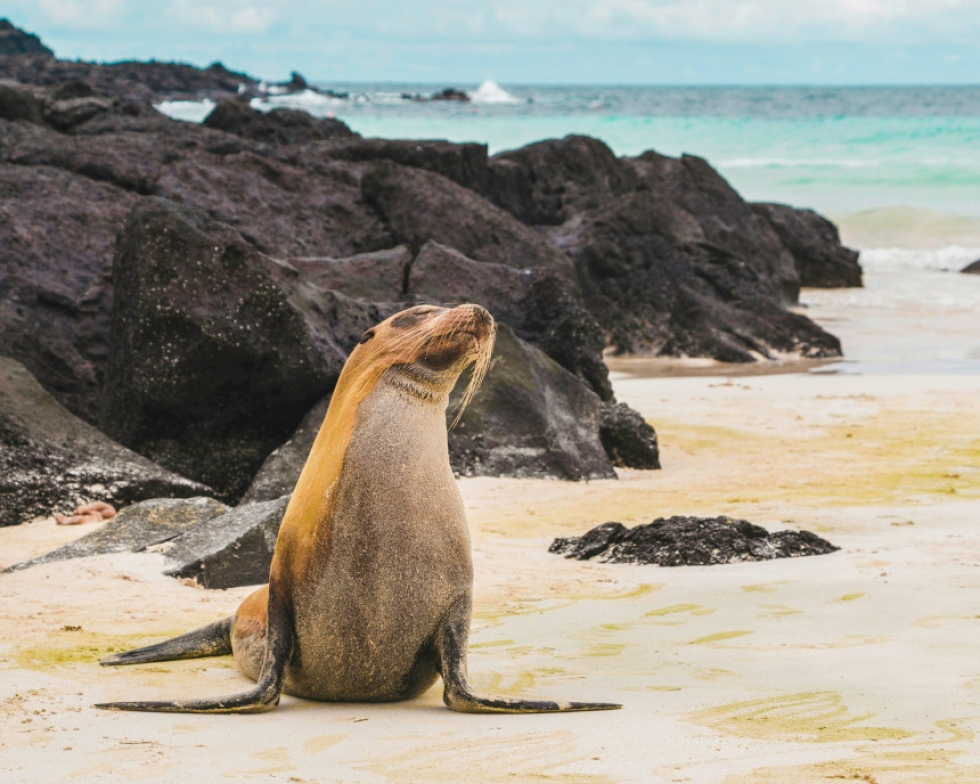 Islas Gal&aacute;pagos aumentar&aacute;n costo de ingreso a visitantes