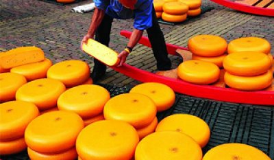Alkmaar, Edam y Gouda: la ruta quesera por Holanda