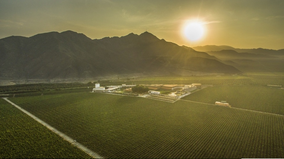 Valle de Ica, tierra de vinos y piscos peruanos