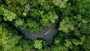 Selva Tropical del Amazonas (Sudam&eacute;rica)