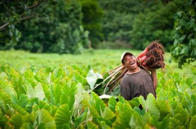 Islas Cook, el para&iacute;so m&aacute;s ECO