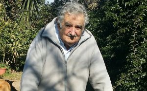 &ldquo;Pluna fue una chambonada hist&oacute;rica&rdquo;