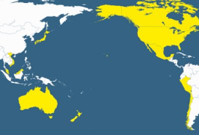 Un nuevo orden mundial se est&aacute; configurando