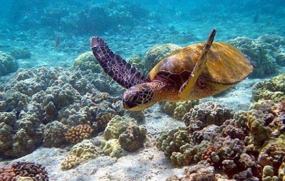 Gal&aacute;pagos, Per&uacute; y Argentina: destinos que interesan al turista estadounidense
