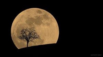 Chile: acercar&aacute;n la astronom&iacute;a al ciudadano com&uacute;n