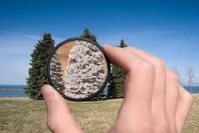 Realidades y percepciones