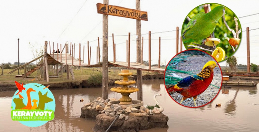 Reserva ecol&oacute;gica Kerayvoty, el lugar de Julio Medina un modelo de emprendedurismo. Colonia Este, Parte II