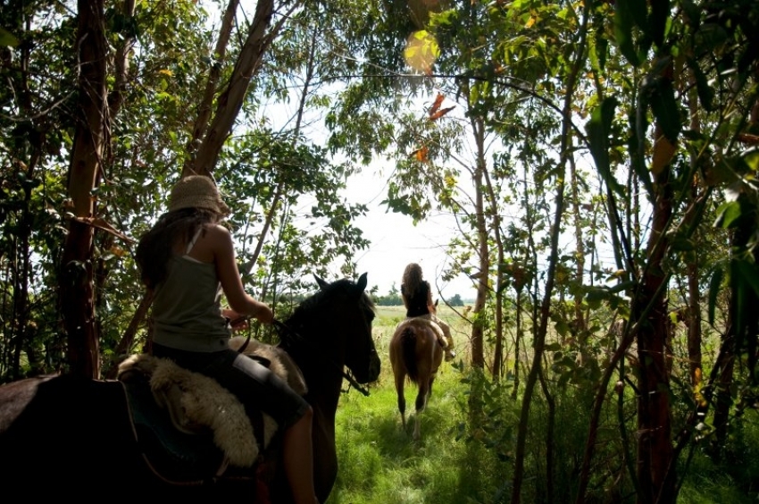 Para Uruguay, &iquest;el turismo se ha convertido en m&aacute;s de ida que de vuelta? (II)