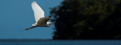  Costa Rica, el destino m&aacute;s recomendado del mundo para las vacaciones