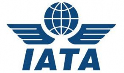 Fuerte ca&iacute;da de los pasajeros "premium" en octubre, seg&uacute;n la IATA 