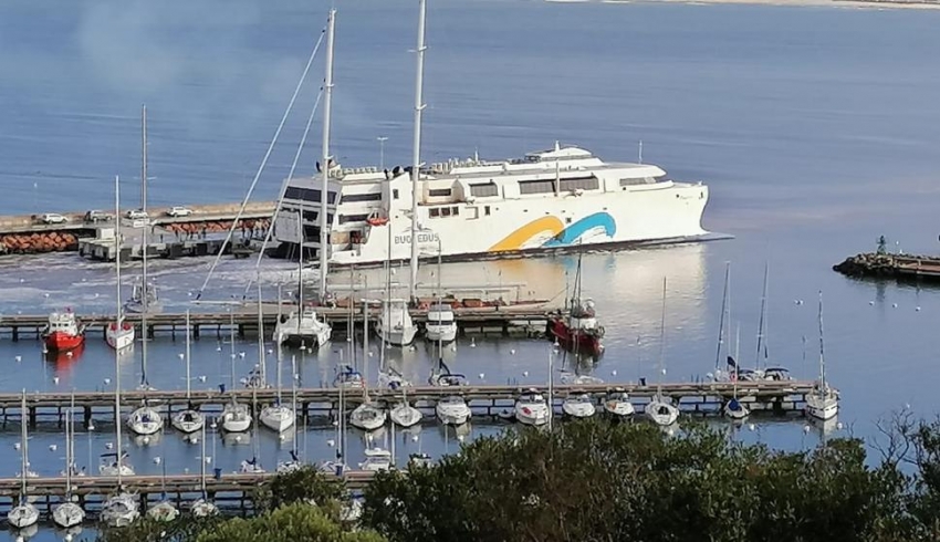 Buquebus a Piri&aacute;polis: cuando vemos la vaca, lloramos