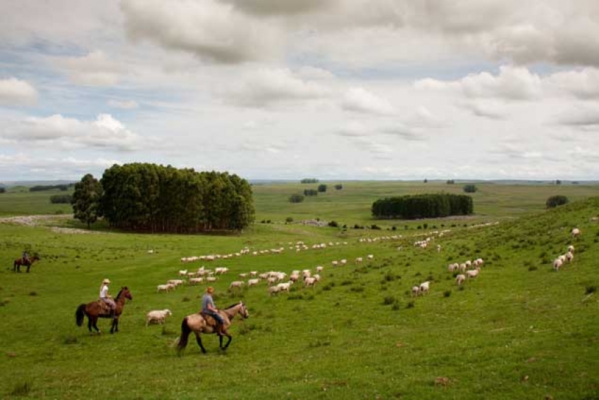 Turismo rural en Uruguay natural y productivo.