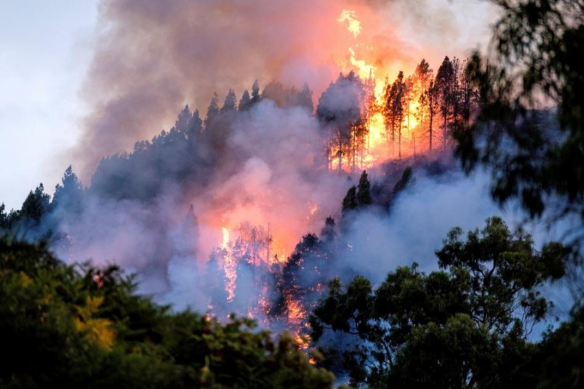 &iquest;Arde Espa&ntilde;a?