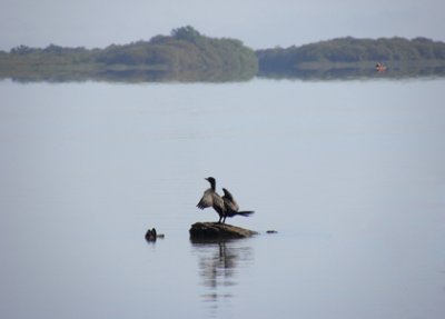 Aviaci&oacute;n, turismo, aves y termas