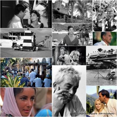 50 a&ntilde;os: La Noche de la Iguana y el descubrimiento de Puerto Vallarta