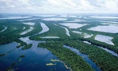 R&iacute;o Amazonas