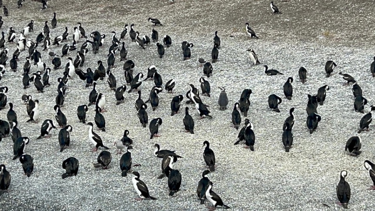 Navegamos el canal de Beagle
