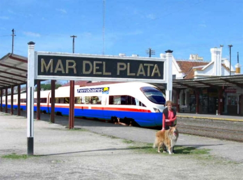 Sin pol&iacute;tica de transporte en el gobierno ni en la oposici&oacute;n.