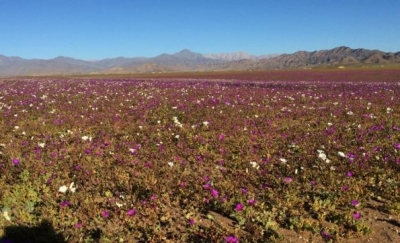 La regi&oacute;n central de Chile convoca a cada vez m&aacute;s turistas argentinos