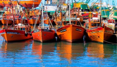 El puerto, paseo ineludible para quien visita Mar del Plata