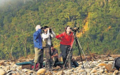 Prom-Per&uacute;: 'Birdwatching' puede atraer a tres millones de turistas