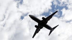 Una aerol&iacute;nea china pas&oacute; un men&uacute; de &ldquo;comida para perros&rdquo; a los pasajeros de clase ejecutiva