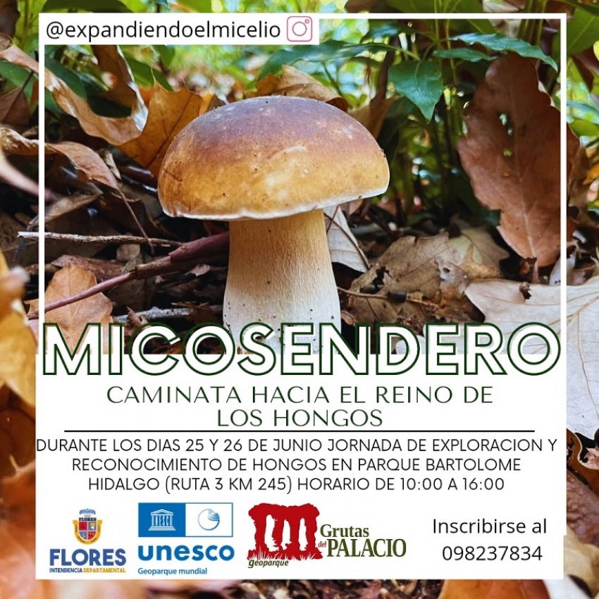 Recomendaci&oacute;n PDA: "Hogueras de San Juan" en Aigu&aacute; y "Micosendero" en Parque Bartolom&eacute; Hidalgo