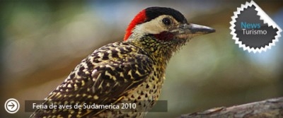 Feria de Aves de Sudam&eacute;rica en San Mart&iacute;n de los Andes