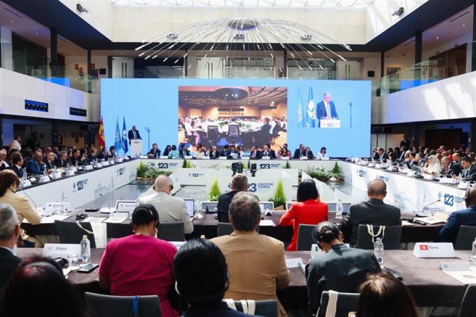 &quot;Lo que no lograron los árabes en 2021 lo consiguieron en el 2025&quot;