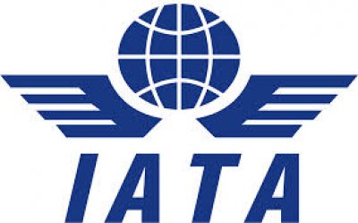 La IATA tacha de "inaceptable" negativa venezolana a pagar a las aerol&iacute;neas