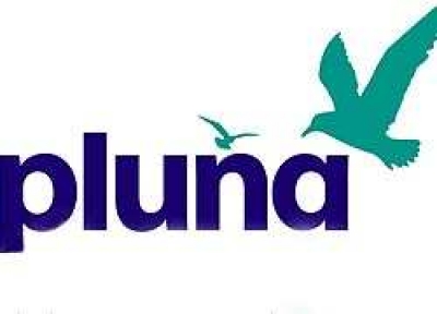 Pluna cancela todos los vuelos hasta las 14 HS