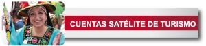 Comentarios sobre la Cuenta Sat&eacute;lite de Turismo (CST )