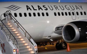 Urgente: decl&aacute;renla AEROL&Iacute;NEA NACIONAL DE REFERENCIA