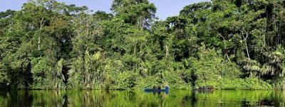Tortuguero, un para&iacute;so natural y de gente comprometida con la naturaleza
