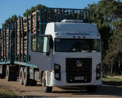 Uruguay: incre&iacute;ble afirmaci&oacute;n de un Ministro