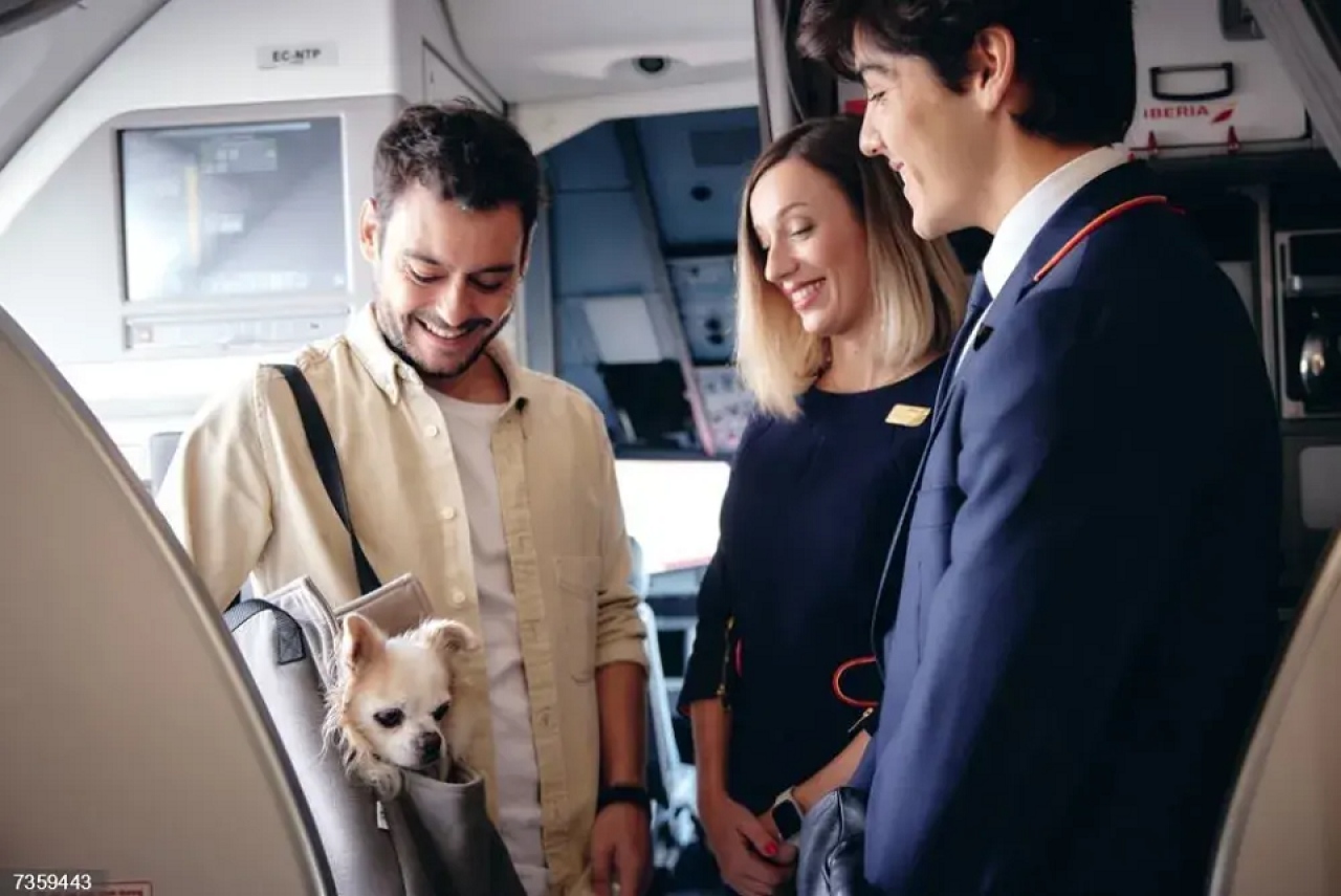 Iberia digitaliza el viaje de mascotas y permite que se a&ntilde;adan a la reserva directamente desde la web