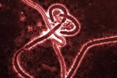Ebola: USO y CSIF-AENA piden la revisi&oacute;n de protocolos aeroportuarios ante el &eacute;bola