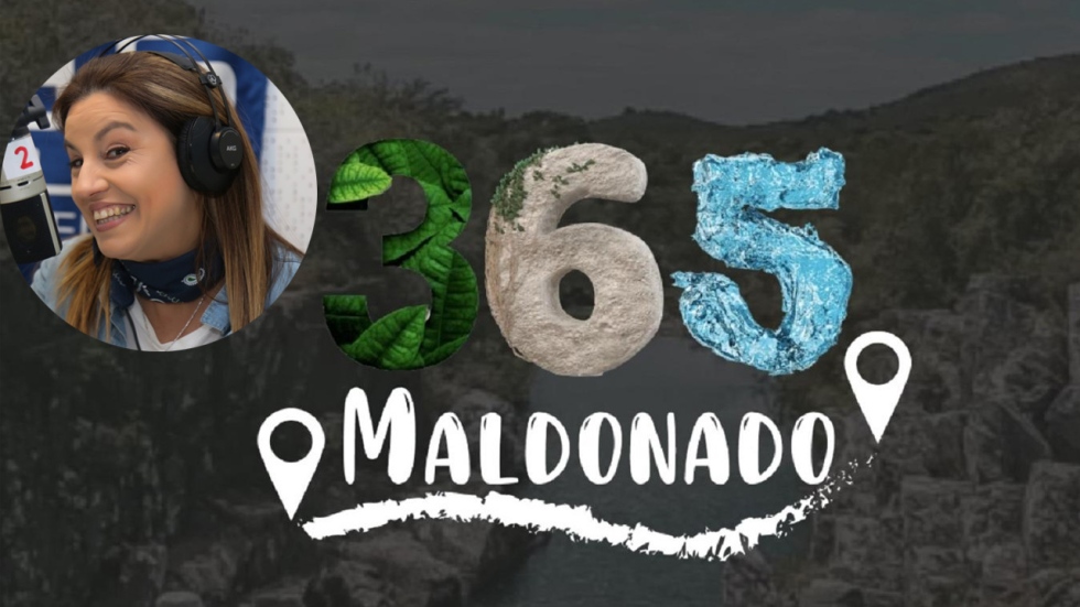 Rosanna Freda, Maldonado 365, camino a la desestacionalizaci&oacute;n