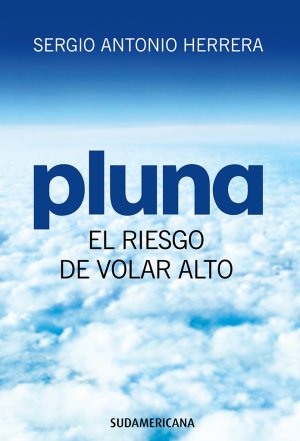 Todos los temas que abarca "Pluna, el riesgo de volar alto"