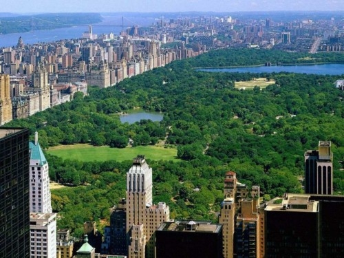 Dormir en los &aacute;rboles. Nueva York da para todo