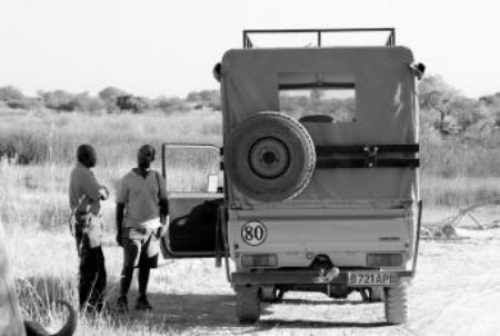 Fuera de ruta. El baobab, el le&oacute;n y la rana
