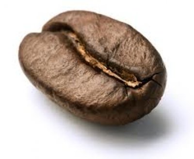 El grano de caf&eacute;: un cuento de resiliencia e innovaci&oacute;n