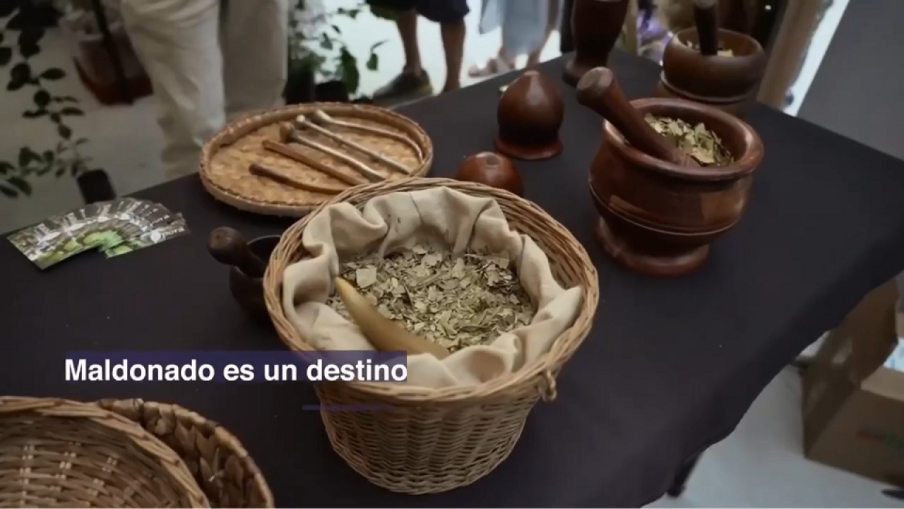 El &uacute;ltimo del 2025